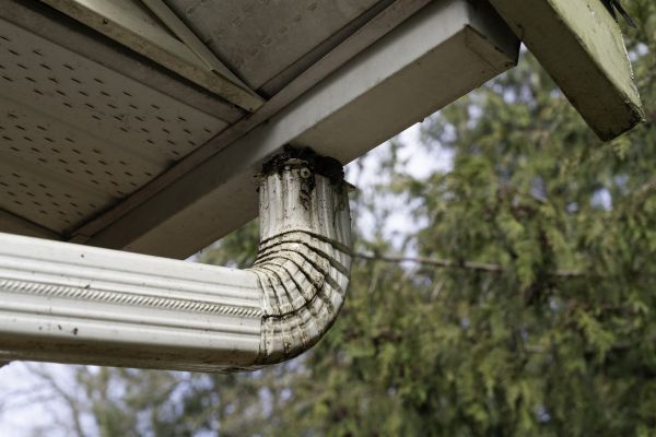 Roof Drain Replacement in Boston